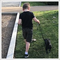 Success Story - Poppy Success Story - Poppy