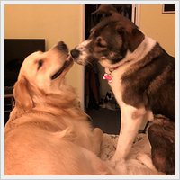 Success Story - Ellie Success Story - Ellie