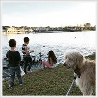 Success Story - Fozzie Success Story - Fozzie