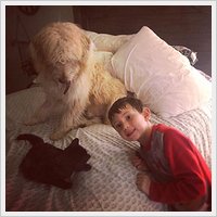 Success Story - Fozzie Success Story - Fozzie