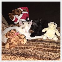 Success Story - Charlie & Randall Success Story - Charlie & Randall
