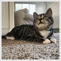 Success Story - Dusty Success Story - Dusty