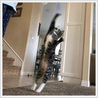 Success Story - Dusty Success Story - Dusty