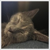kaylee